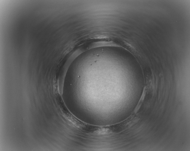 X0000068740609200605011027