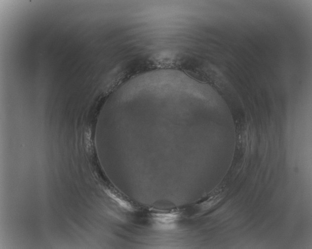 X0000068740610200605011027