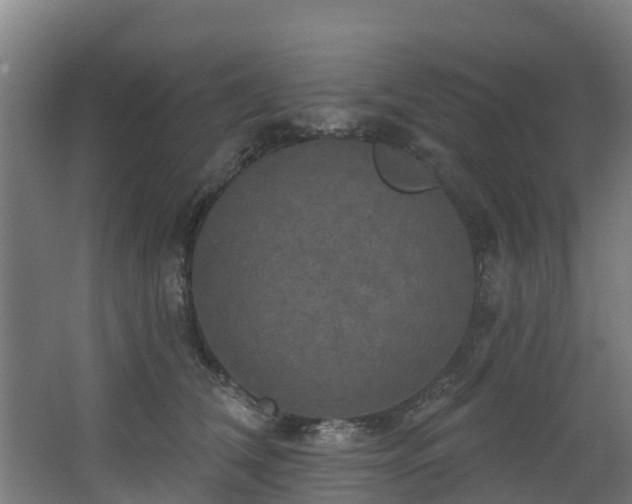 X0000068740612200605011027