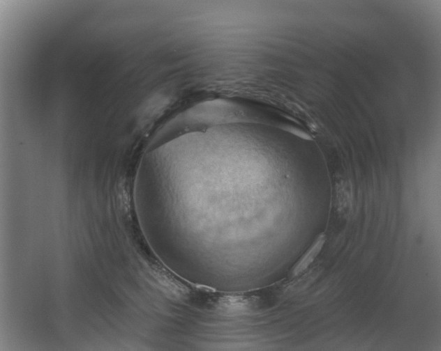 X0000068740613200605011027