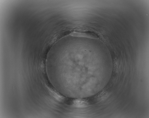 X0000068740614200605011027