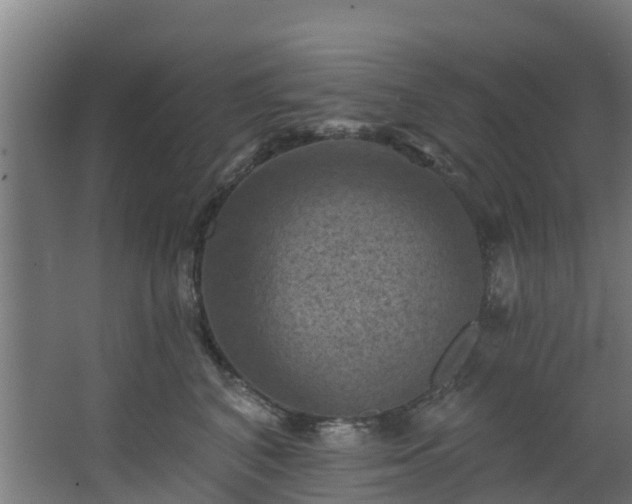 X0000068740616200605011027