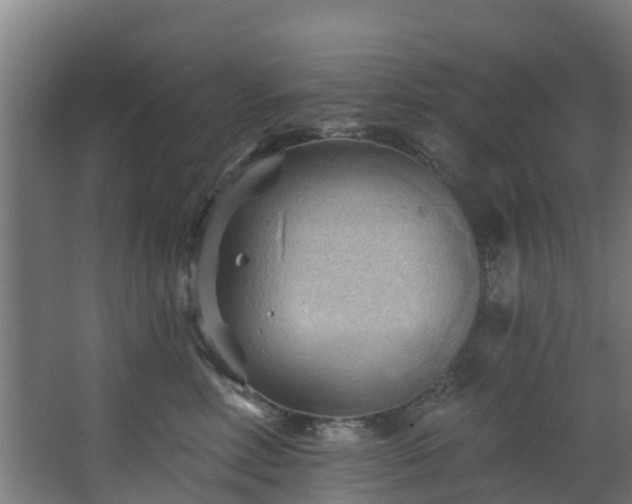 X0000068740618200605011027