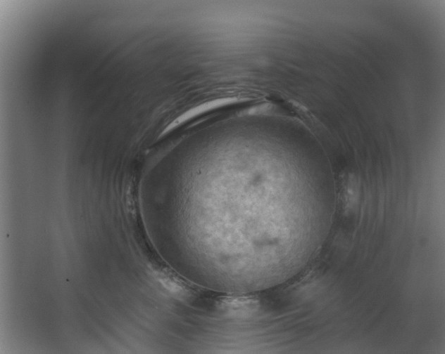 X0000068740619200605011027