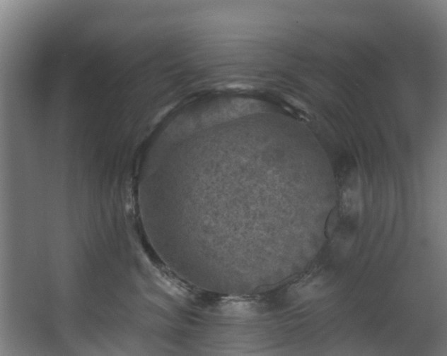 X0000068740620200605011027