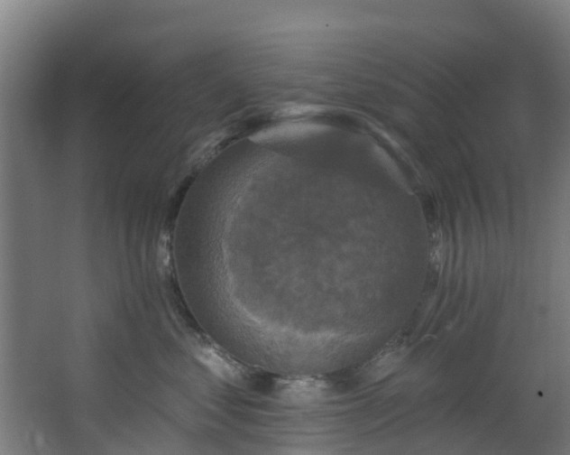 X0000068740621200605011027