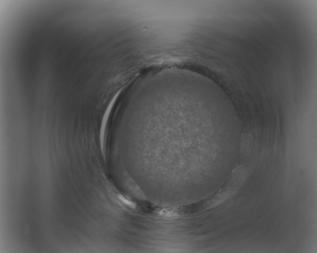 X0000068740624200605011027