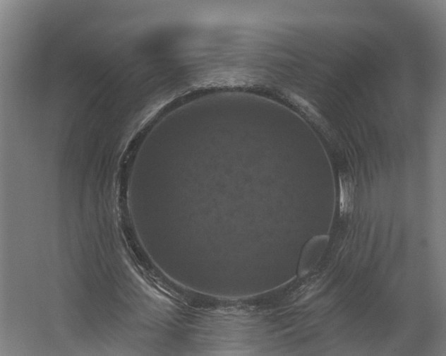 X0000068740627200605011026