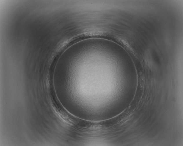 X0000068740631200605011026