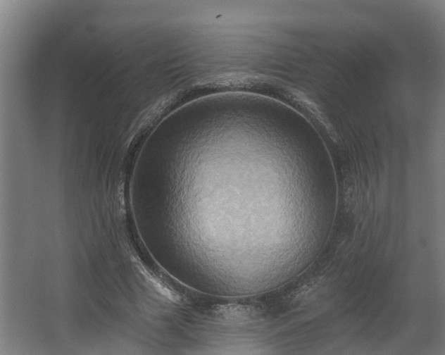 X0000068740633200605011026