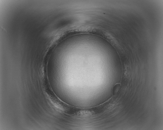 X0000068740636200605011026