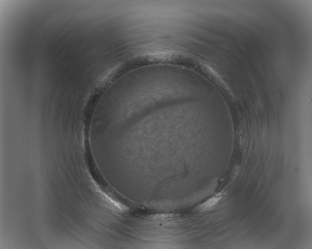 X0000068740637200605011026