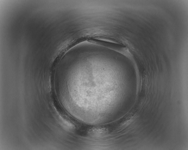 X0000068740638200605011026