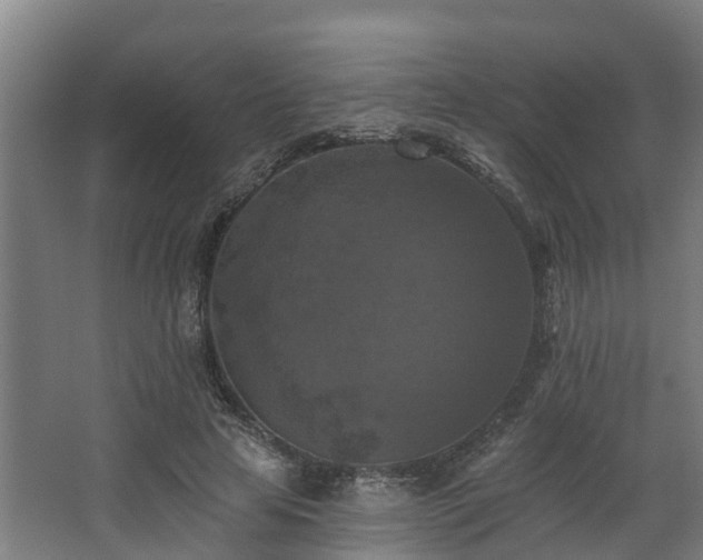 X0000068740641200605011026