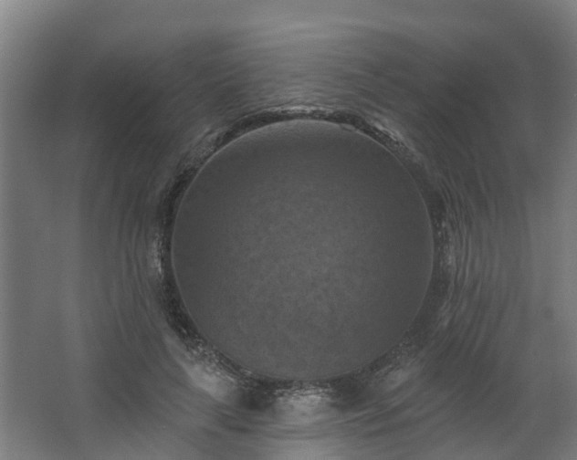 X0000068740643200605011026