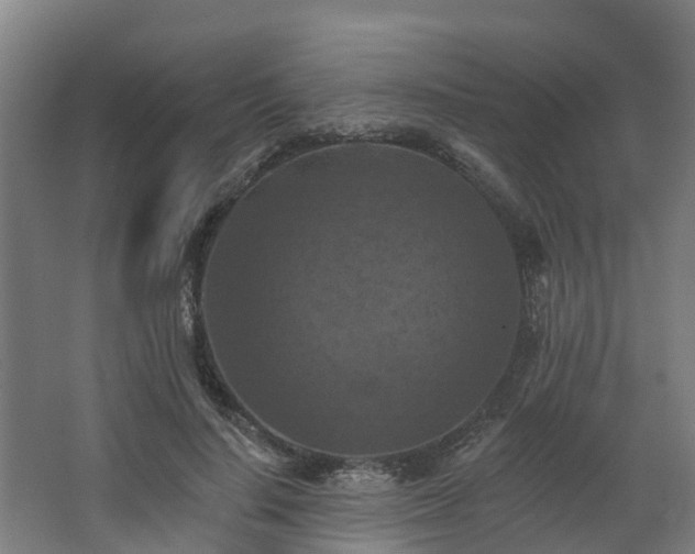 X0000068740644200605011026