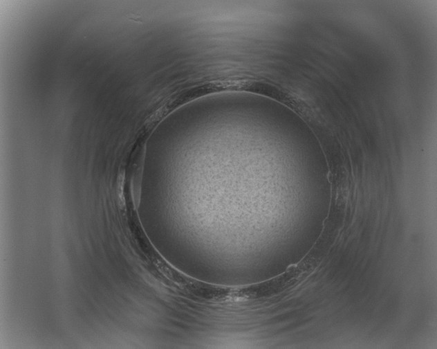 X0000068740647200605011026