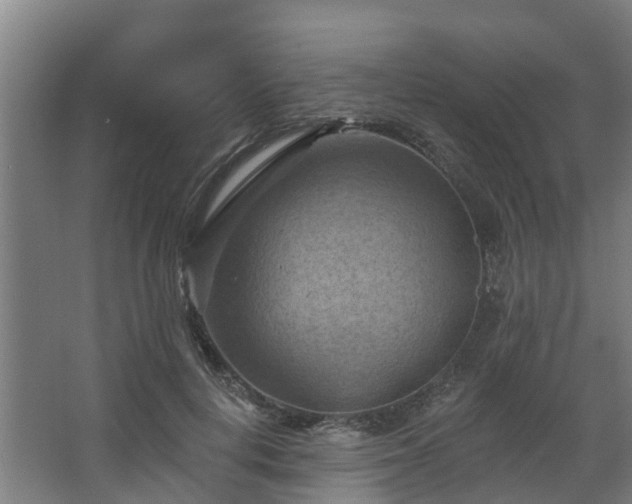 X0000068740648200605011026