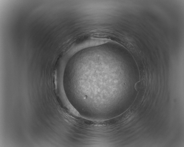 X0000068740649200605011026