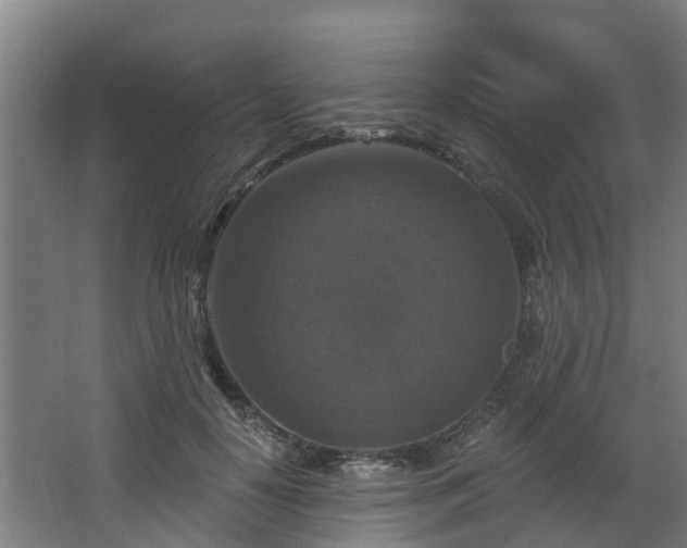 X0000068740650200605011026