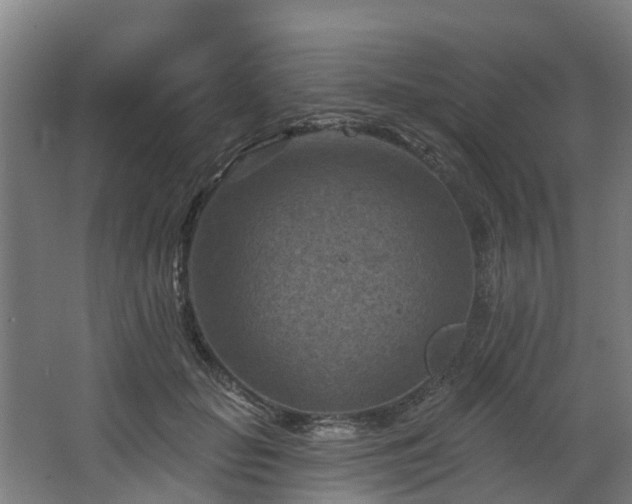 X0000068740653200605011026