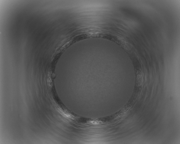 X0000068740654200605011026