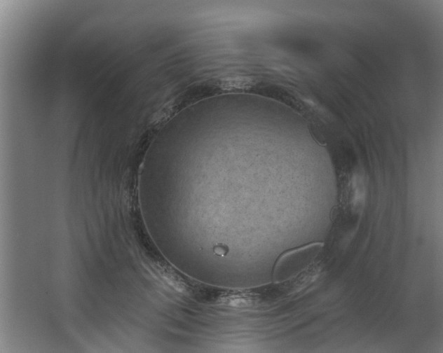 X0000068740655200605011026