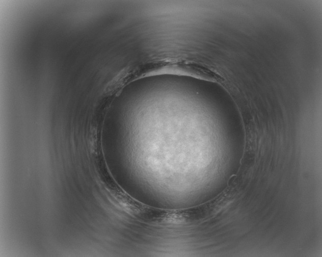 X0000068740656200605011026