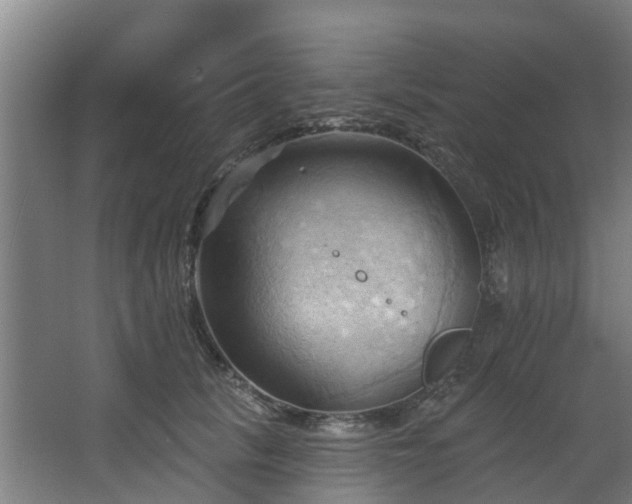 X0000068740657200605011026