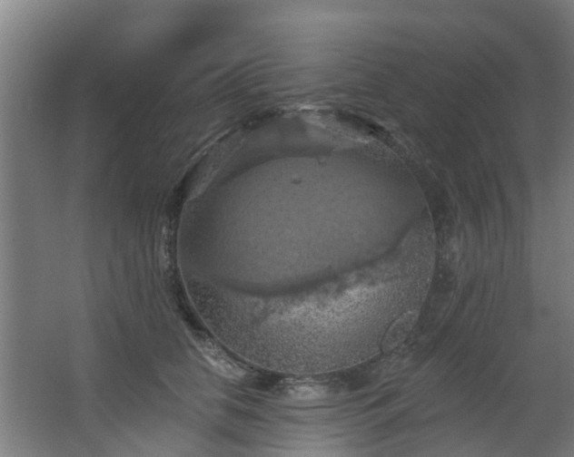 X0000068740658200605011026