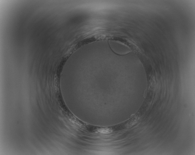 X0000068740659200605011026