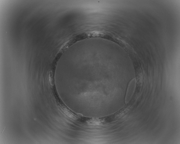 X0000068740661200605011027