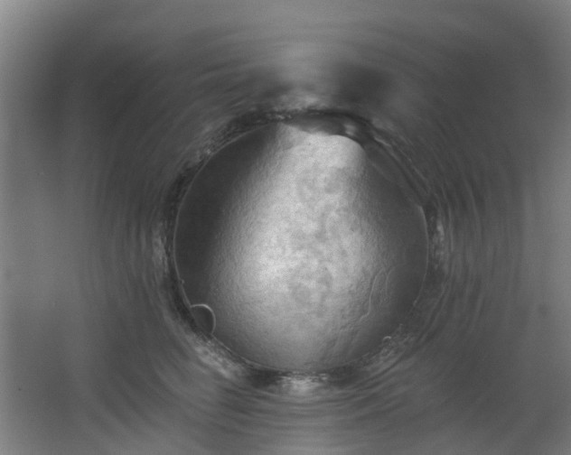 X0000068740662200605011027