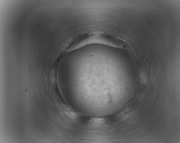 X0000068740665200605011027