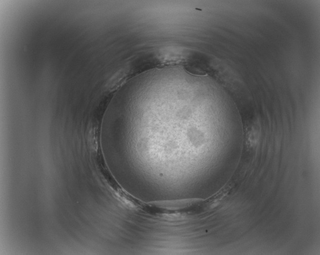 X0000068740666200605011027