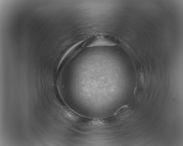 X0000068740668200605011027