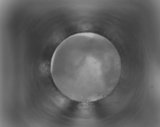 X0000068740672200605011027