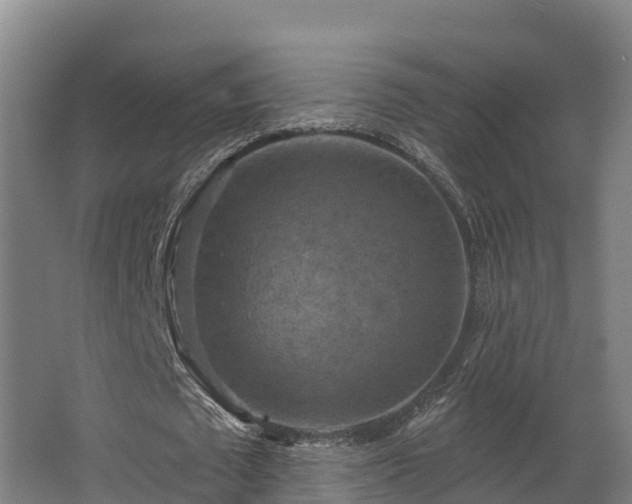 X0000068740673200605011026