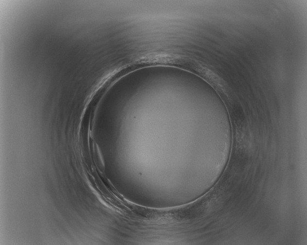 X0000068740674200605011026