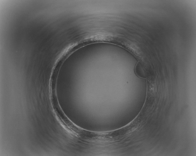 X0000068740678200605011026