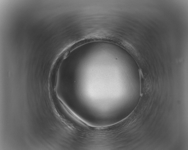 X0000068740680200605011026