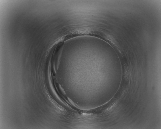 X0000068740681200605011026