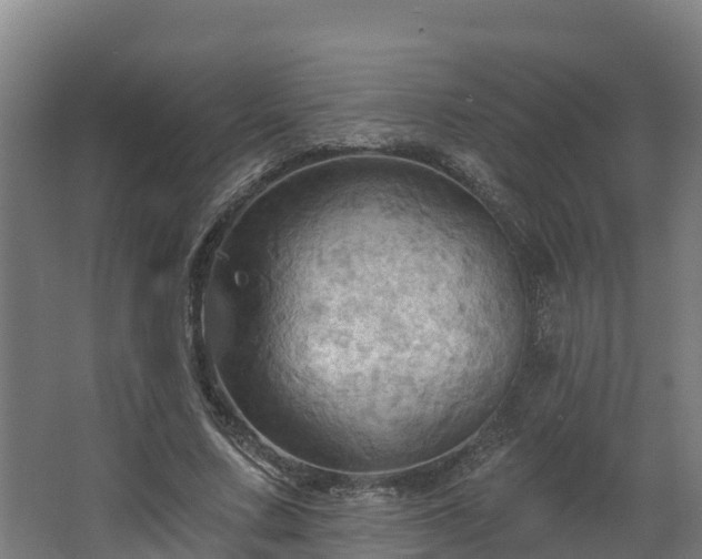 X0000068740683200605011026