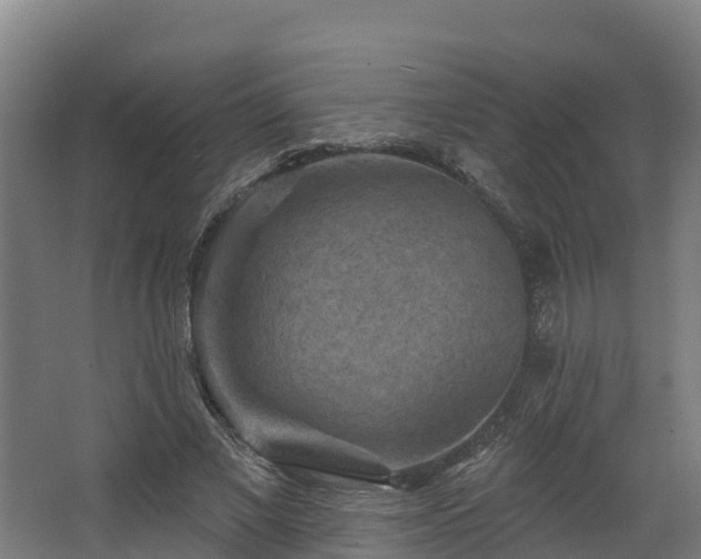 X0000068740685200605011026