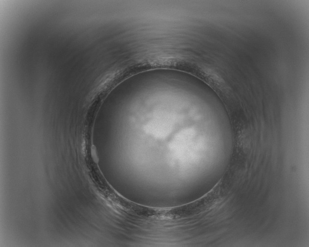 X0000068740687200605011026