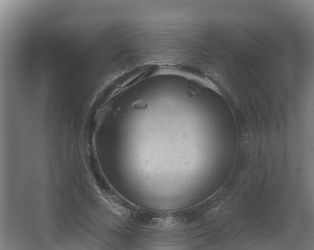 X0000068740688200605011026