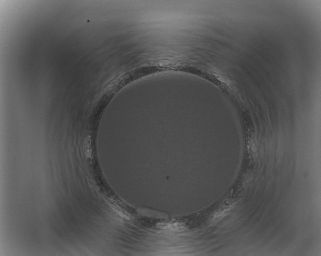 X0000068740689200605011026