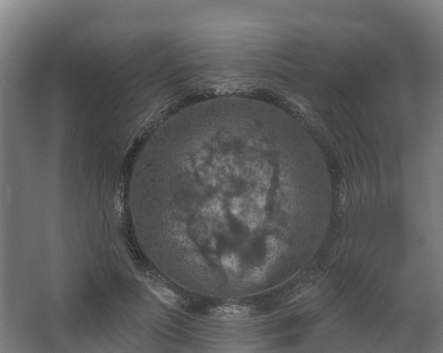 X0000068740691200605011026