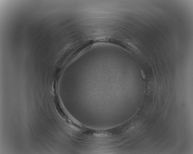 X0000068740693200605011026