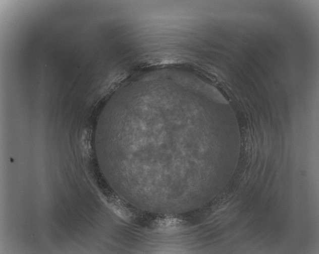 X0000068740695200605011026